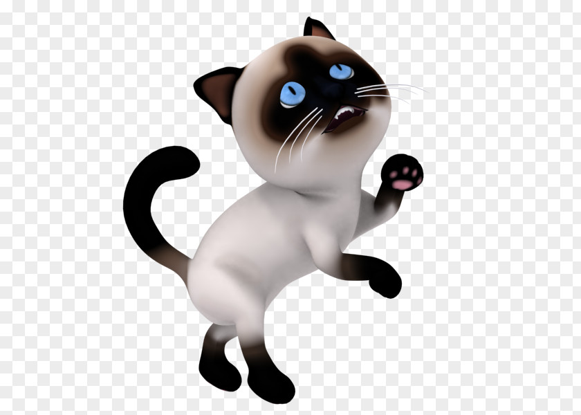 Ravens 3d Animated Whiskers Kitten Animation Cartoon Clip Art PNG