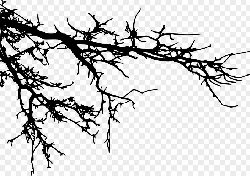 Tree Branch Silhouette Clip Art PNG