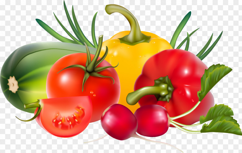 Vegetable Fruit Bell Pepper Chili Vector Graphics PNG