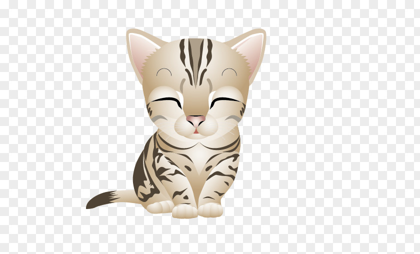 Cat Pictures PNG