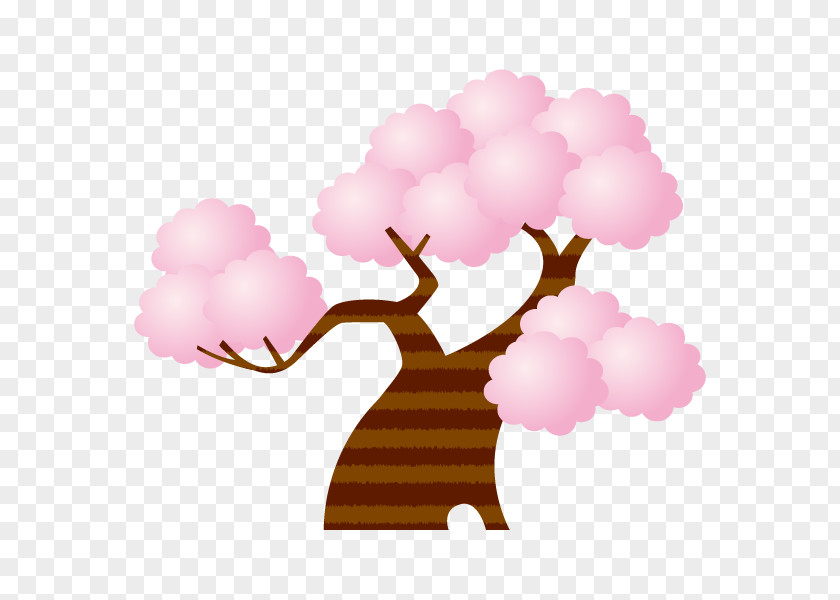 Cherry Blossom Illustration Image Illustrator Graphics PNG