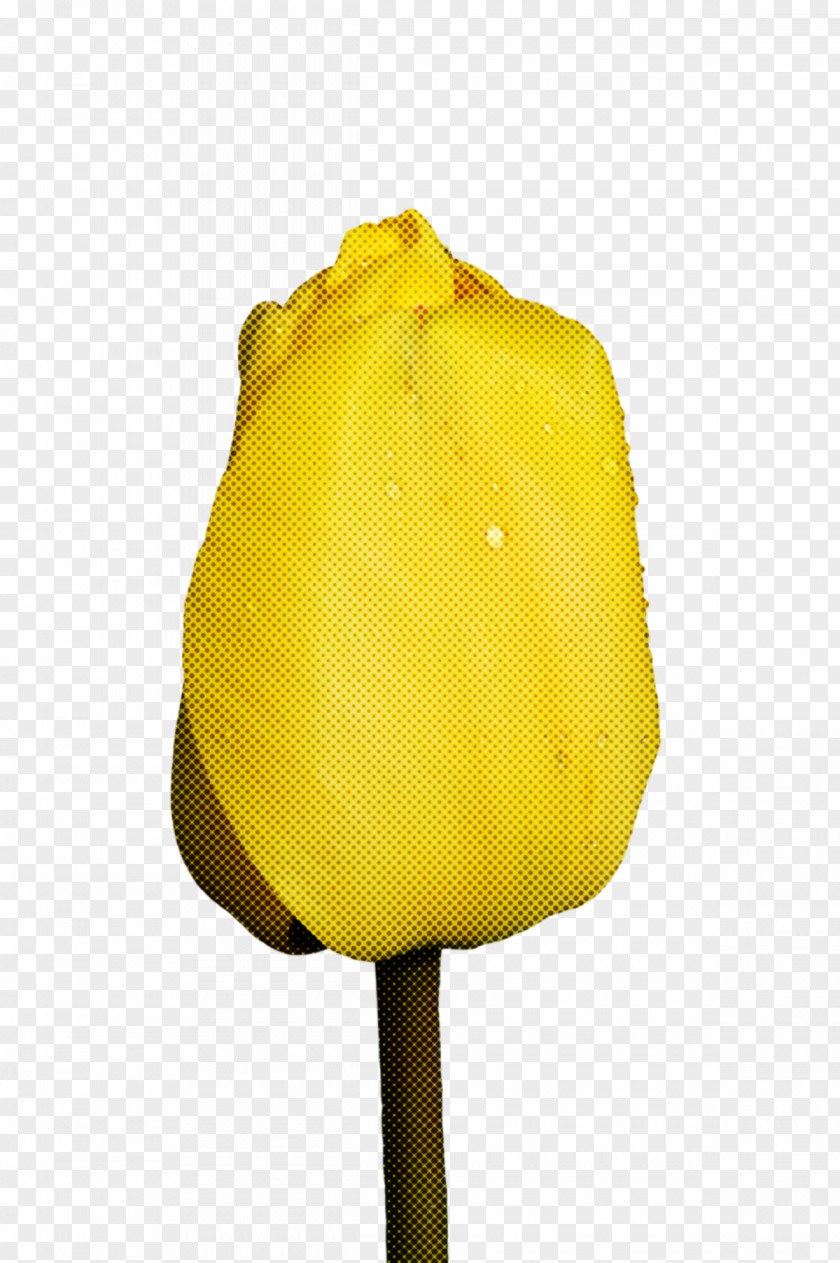 Flower Tulip Petal Yellow Plants PNG
