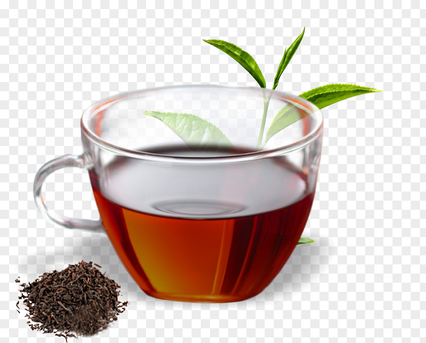 Green Tea Hōjicha Assam Oolong PNG