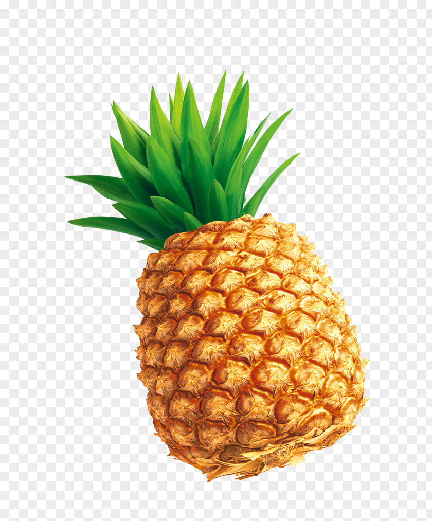 Tempting Pineapple Download PNG