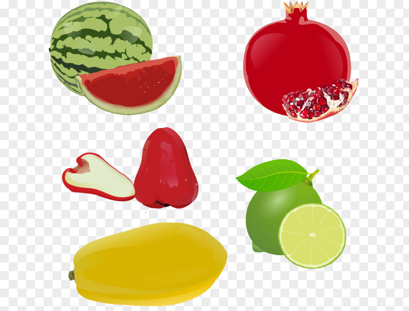 Watermelon Clip Art Drawing Fruit Painting PNG