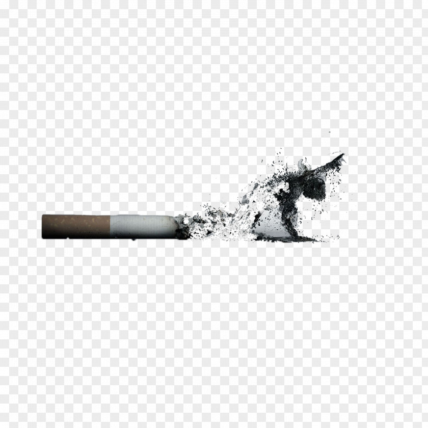 Death Cigarettes Cigarette Ashtray Designer PNG