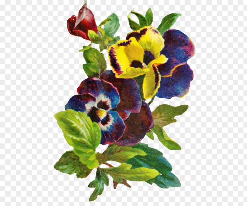 Flower Decoupage Clip Art PNG