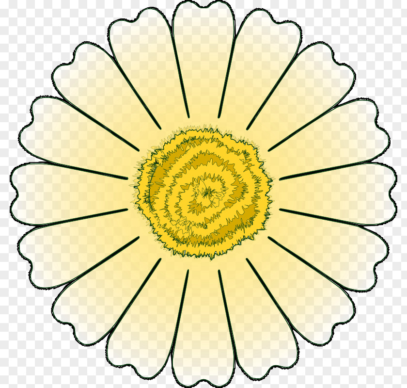 Free Daisy Images Flower Petal Common Clip Art PNG