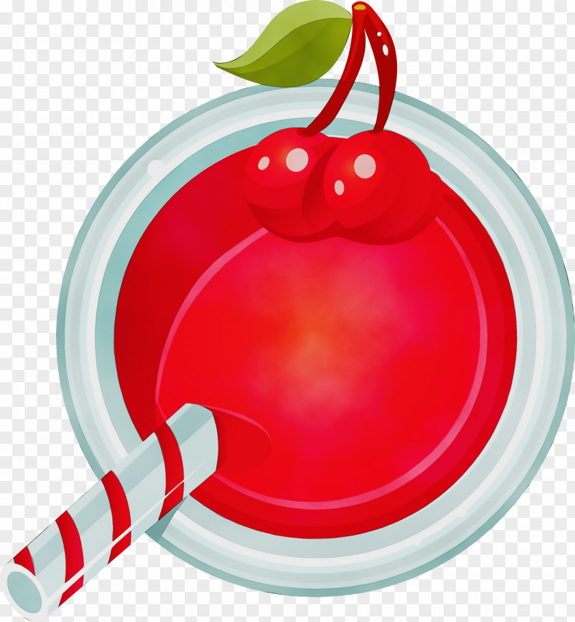 Plant Holiday Ornament Watercolor PNG