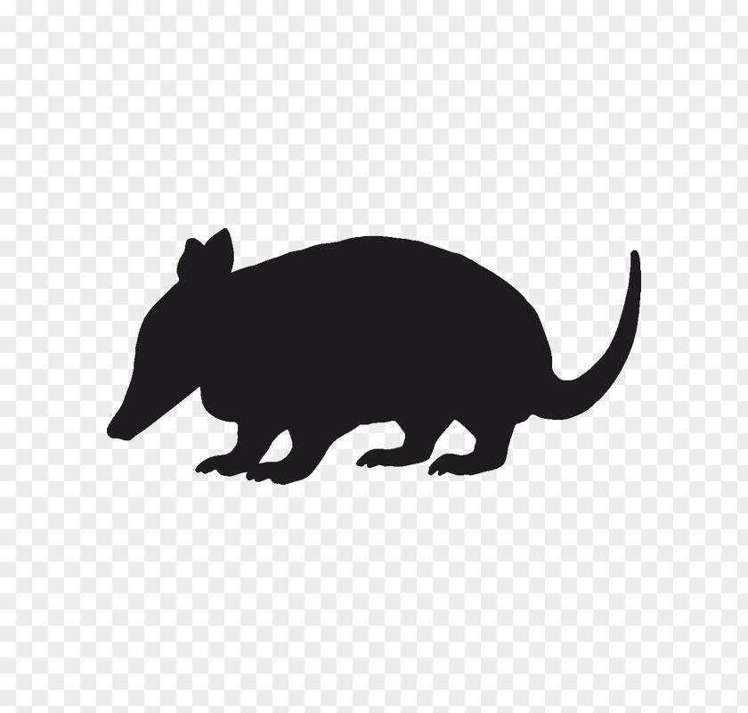 Snout Rat Wildlife Animal Figure Tail PNG