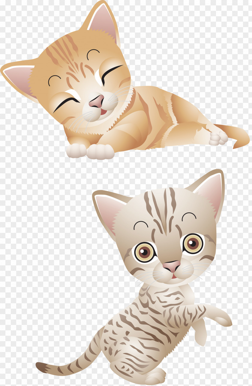 Vector Graphics Siamese Cat American Wirehair Kitten Clip Art PNG