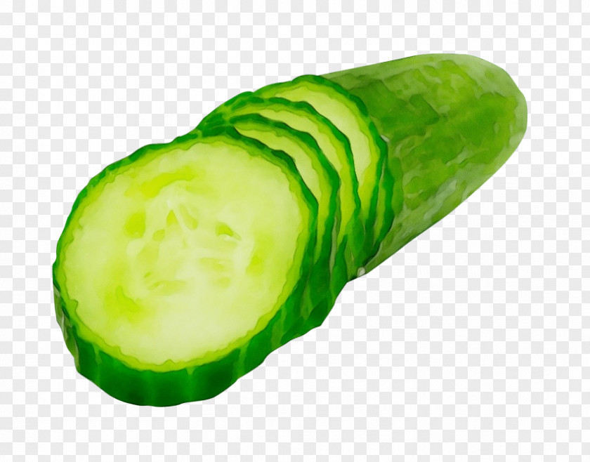 Winter Melon Vegan Nutrition Vegetable Green Cucumber Plant Cucumis PNG