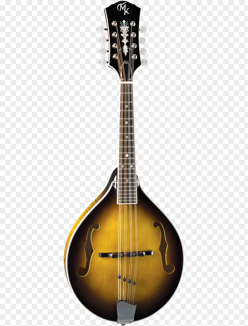 Acoustic Guitar Mandolin Acoustic-electric Banjo Tiple PNG
