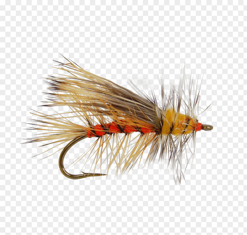 Fly Fishing Dry Flies Artificial Emergers Insect PNG