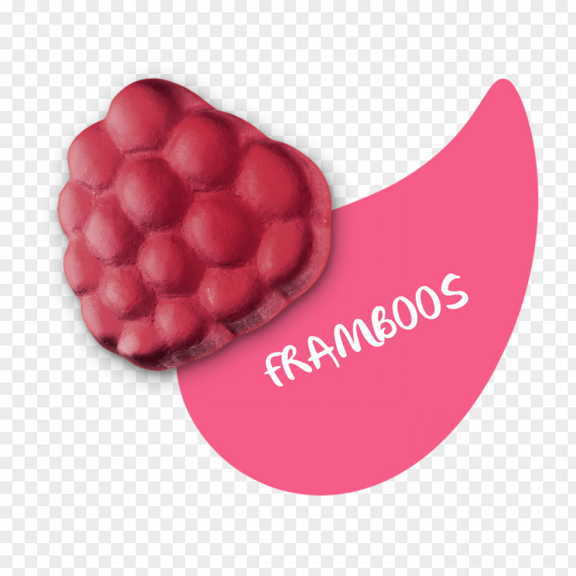 Fruit Pieces Vegetarian Cuisine Raspberry Gummi Candy PNG