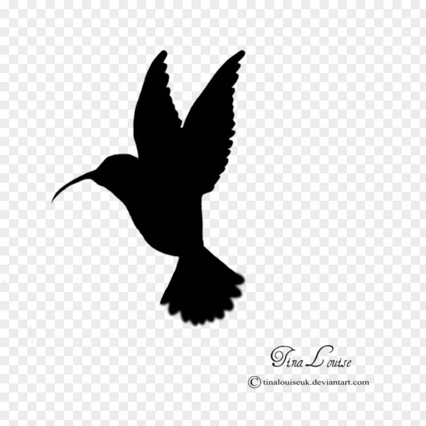 Hummingbird Silhouette Clip Art PNG