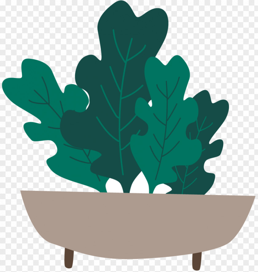 Leaf Product Design Tree PNG