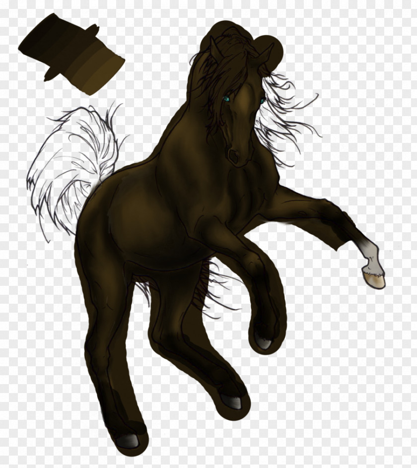 Mustang Stallion Pony Rearing Drawing PNG