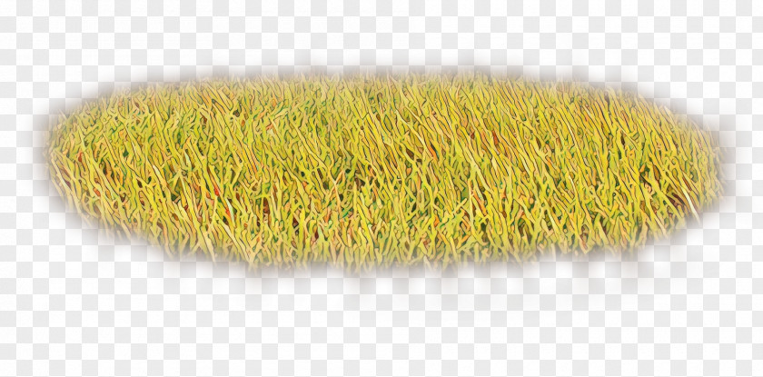 Plant Household Supply Brush Background PNG