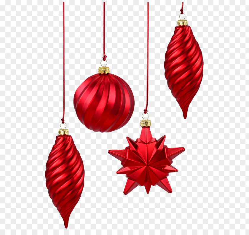 Plant Interior Design Christmas And New Year Background PNG