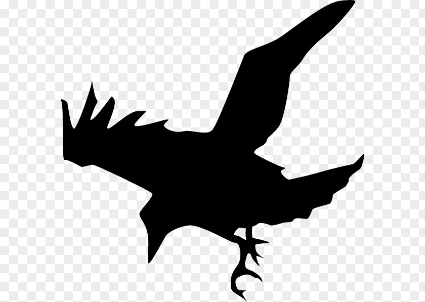 Silhouette Common Raven Clip Art PNG