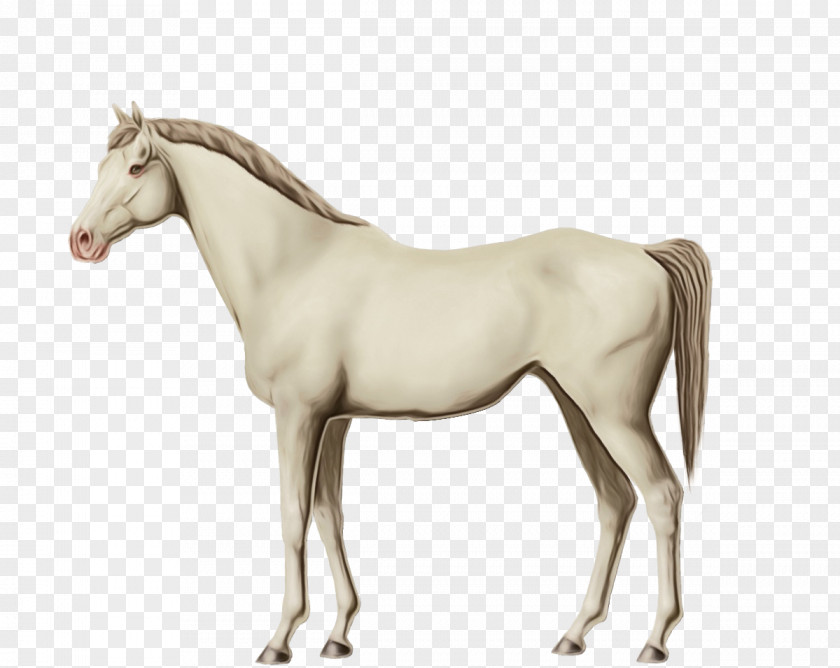 Toy Mustang Horse Animal Figure Mare Sorrel Mane PNG