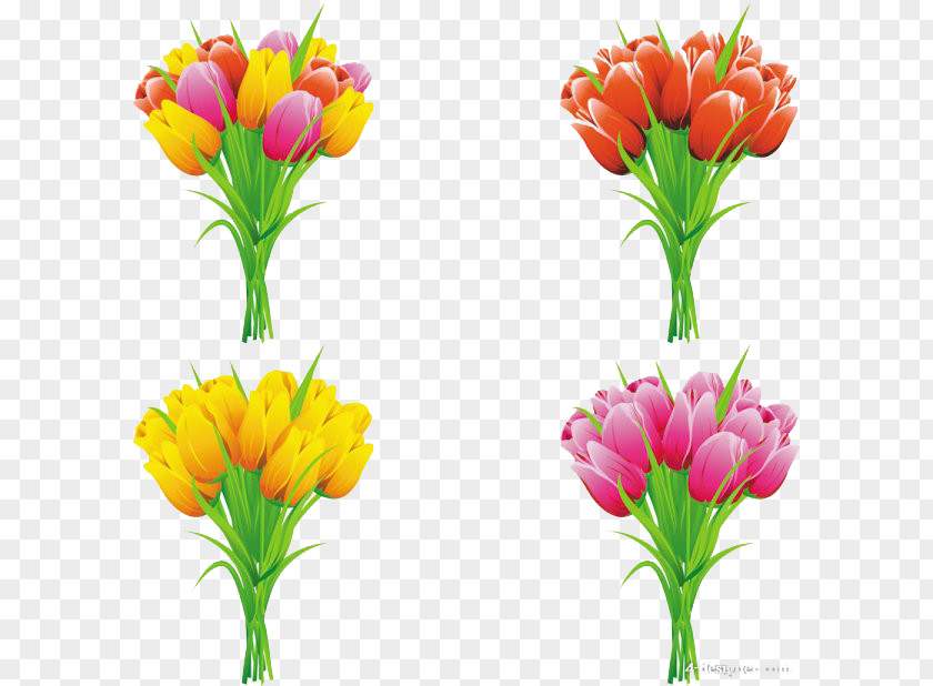 Tulip Clip Art Flower Bouquet Vector Graphics PNG