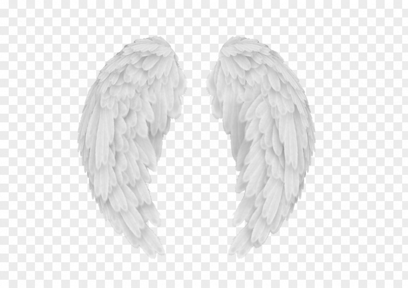 Angel Wings AutoCAD DXF Clip Art PNG