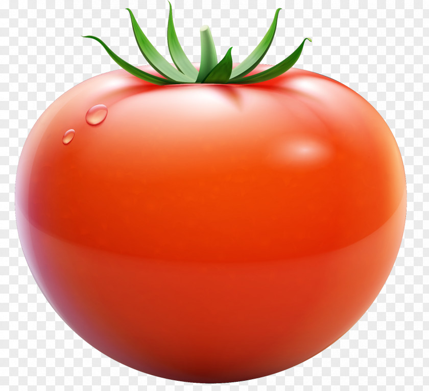 Berries Tomato Vegetable PNG