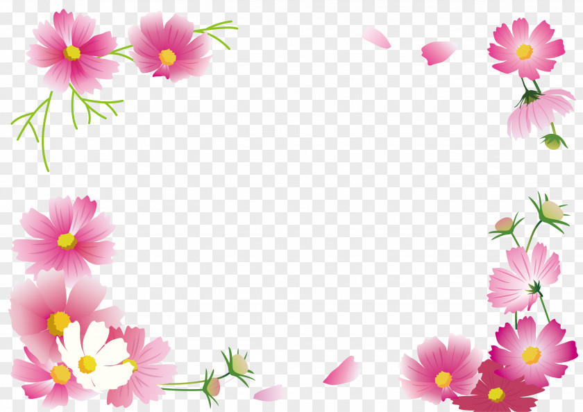 Cosmos Flower Frame .Others Autumn PNG
