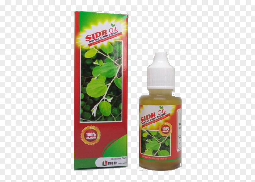 Oil Indian Jujube Exorcism In Islam Health Food PNG