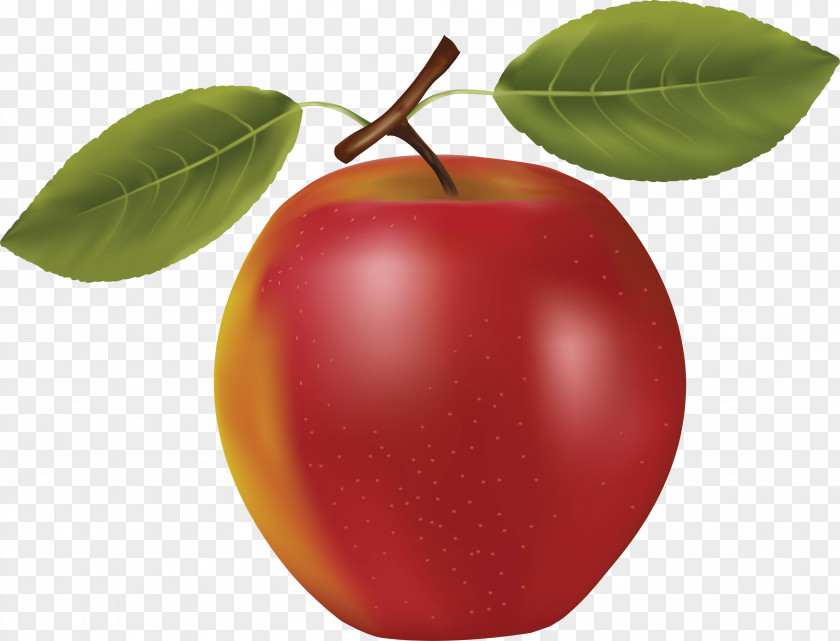 Red Apple Image Juice Fruit Clip Art PNG