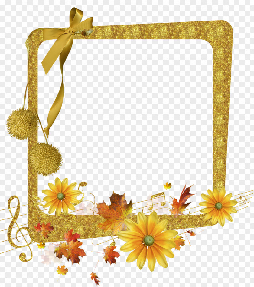 Autumn Flower Picture Frames Floral Design PNG