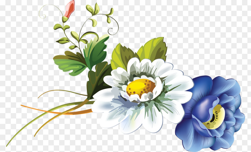Chrysanthemum Get-well Card Greeting Birthday E-card PNG