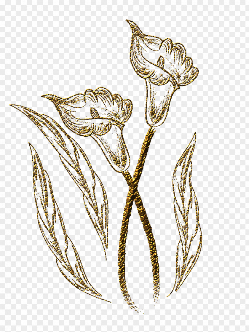 Flower Drawing 鉛筆画 PNG