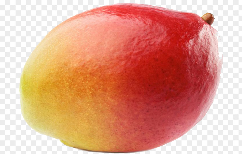 Mango Picture Clip Art PNG