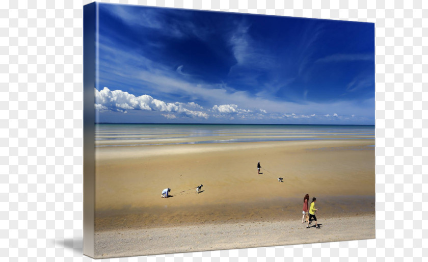 Sea Shore Gallery Wrap Picture Frames Art PNG