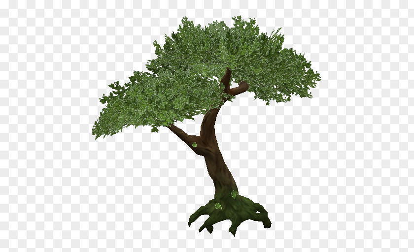 Tree Transparency Clip Art Image Resolution PNG