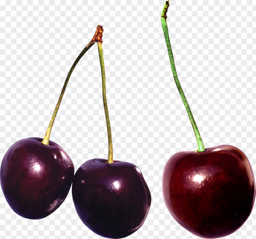 Cherry Sweet Berry Food Fruit PNG
