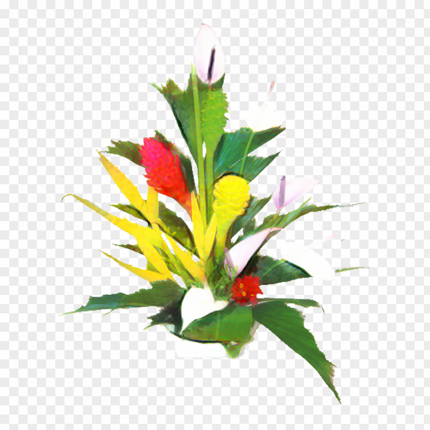 Floral Design Flower Bouquet Plant Stem Cut Flowers PNG