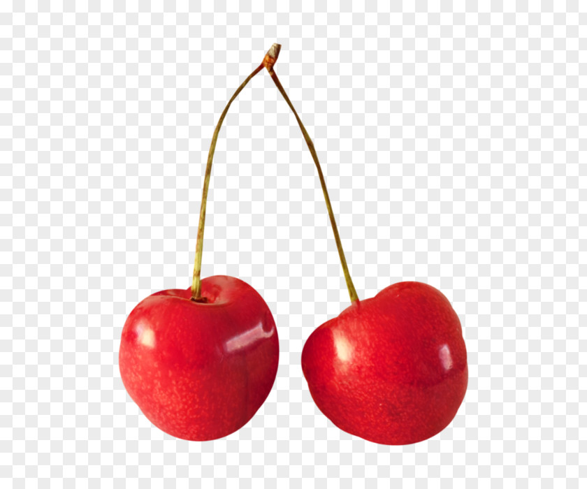 Fruit Cherry PNG