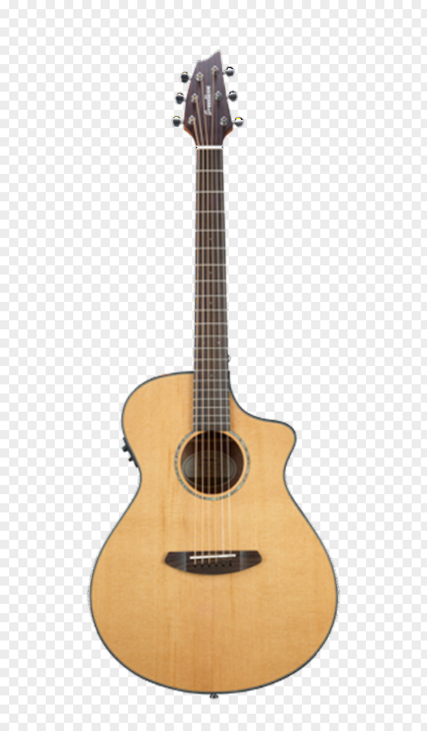 Indie Acoustic Concert Acoustic-electric Guitar Twelve-string Breedlove Pursuit CE PNG