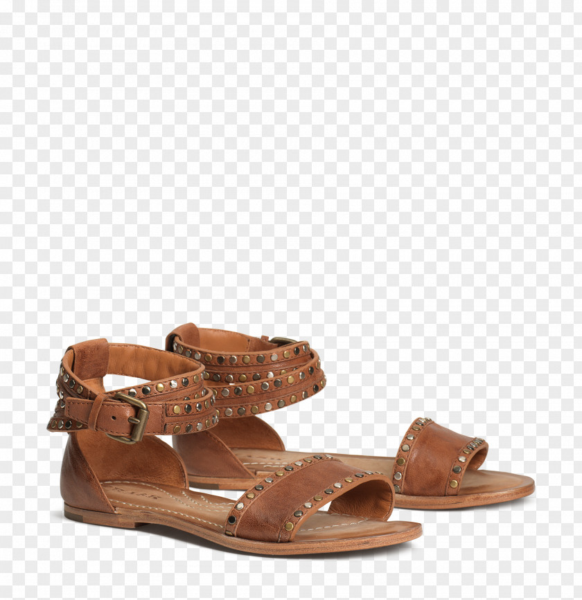 Sandal Suede Slide Shoe PNG