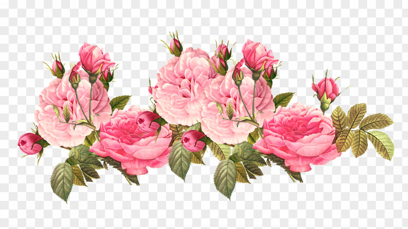 Spell Flower Vintage Clothing Centifolia Roses Clip Art PNG