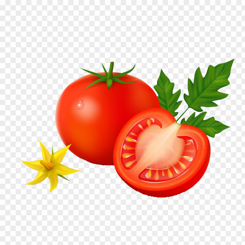 Tomato Vegetable Potato Cartoon PNG
