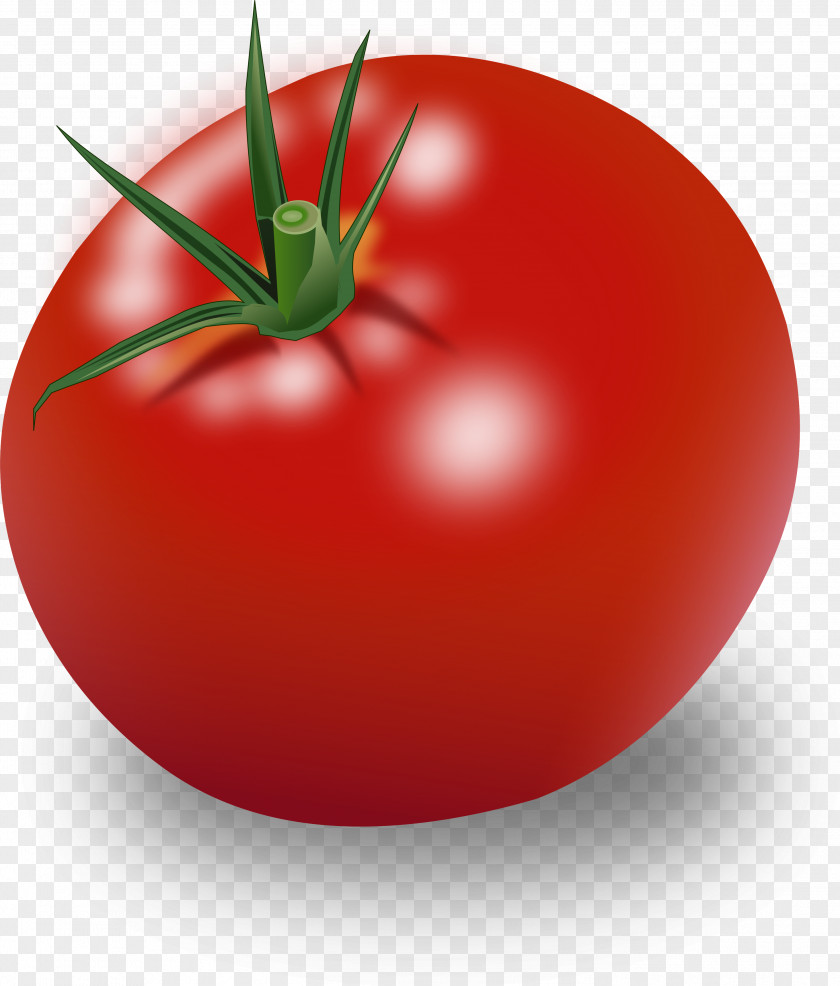 Vegetable Tomato Sauce Cherry Clip Art PNG