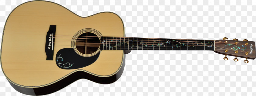 Acoustic Guitar Twelve-string Taylor Guitars Acoustic-electric PNG