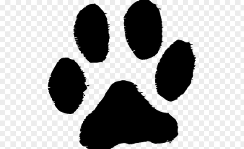 Cat Scottish Terrier Paw Pet Adoption Clip Art PNG