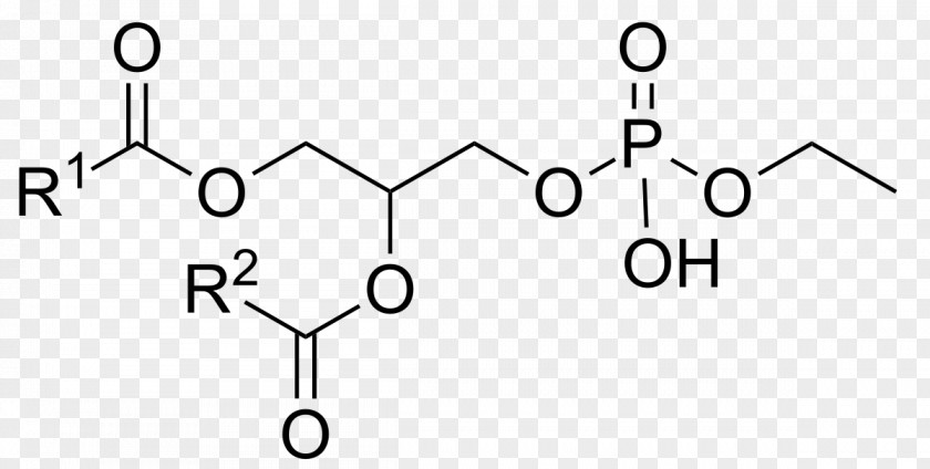 Chemistry Chemical Substance Malic Acid Glyphosate PNG