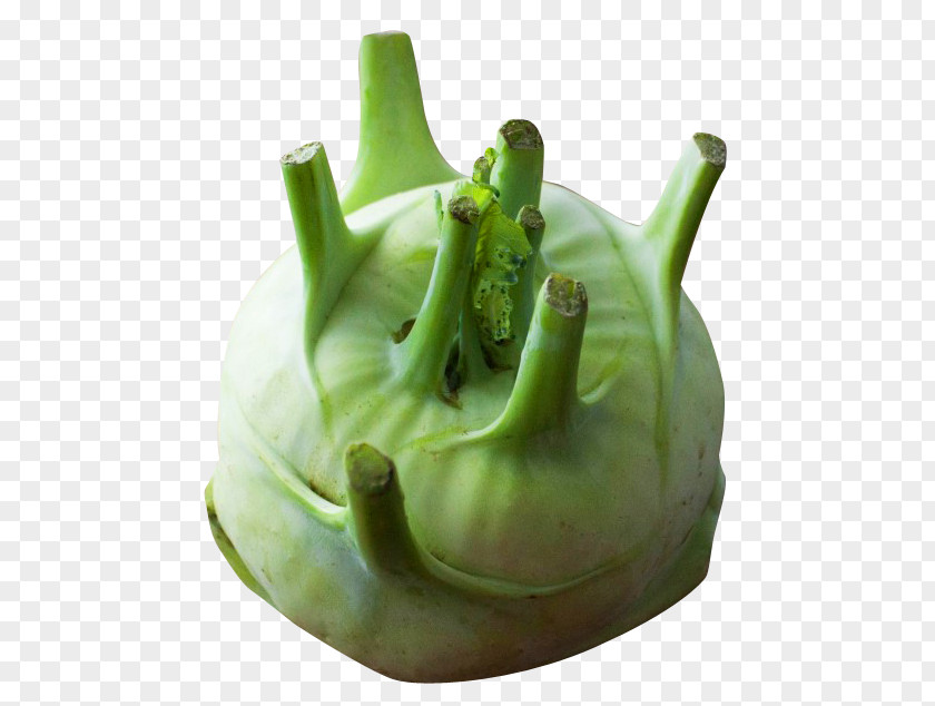Kohlrabi Vegetable Brassica Juncea PNG